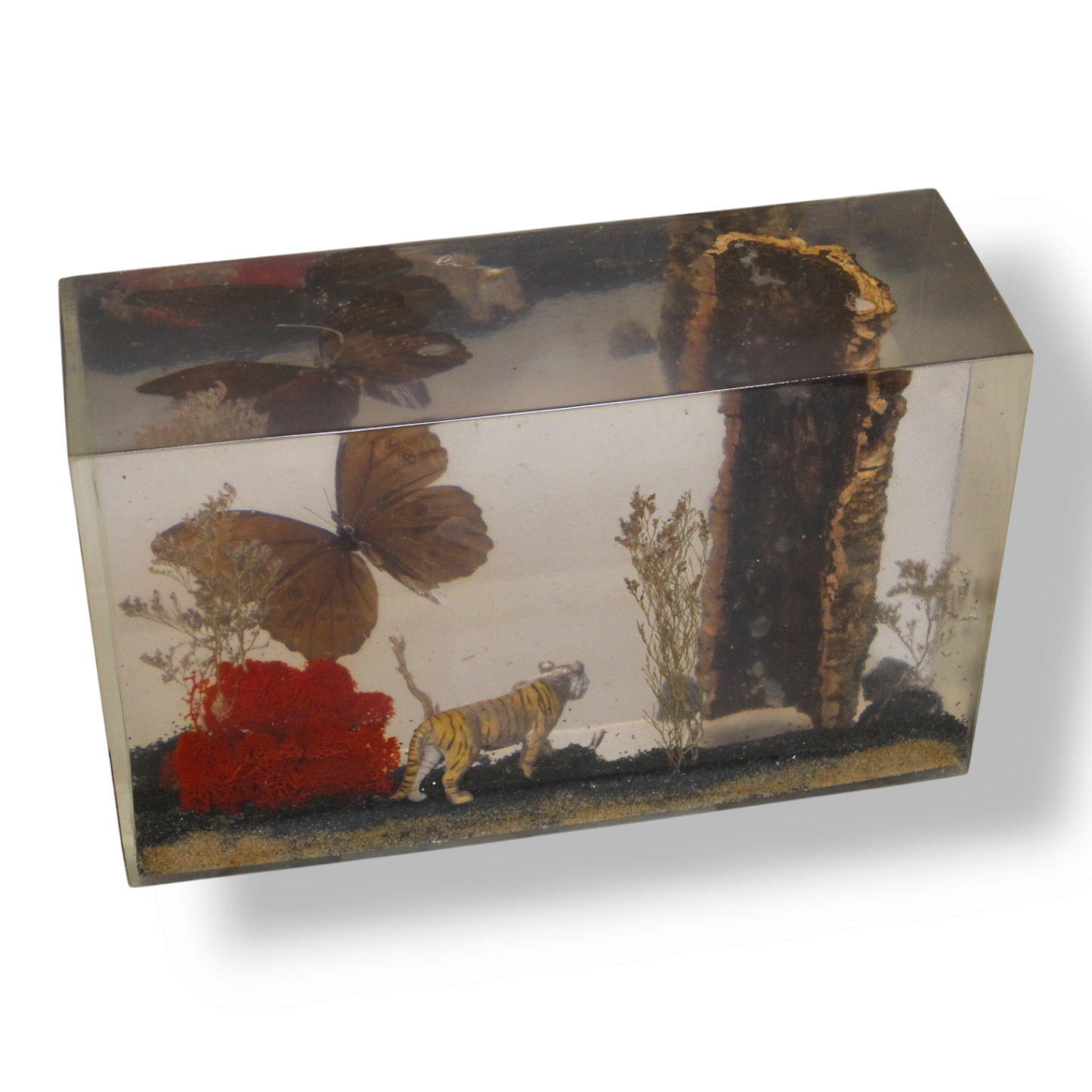 “Carnivore” Resin Monolith