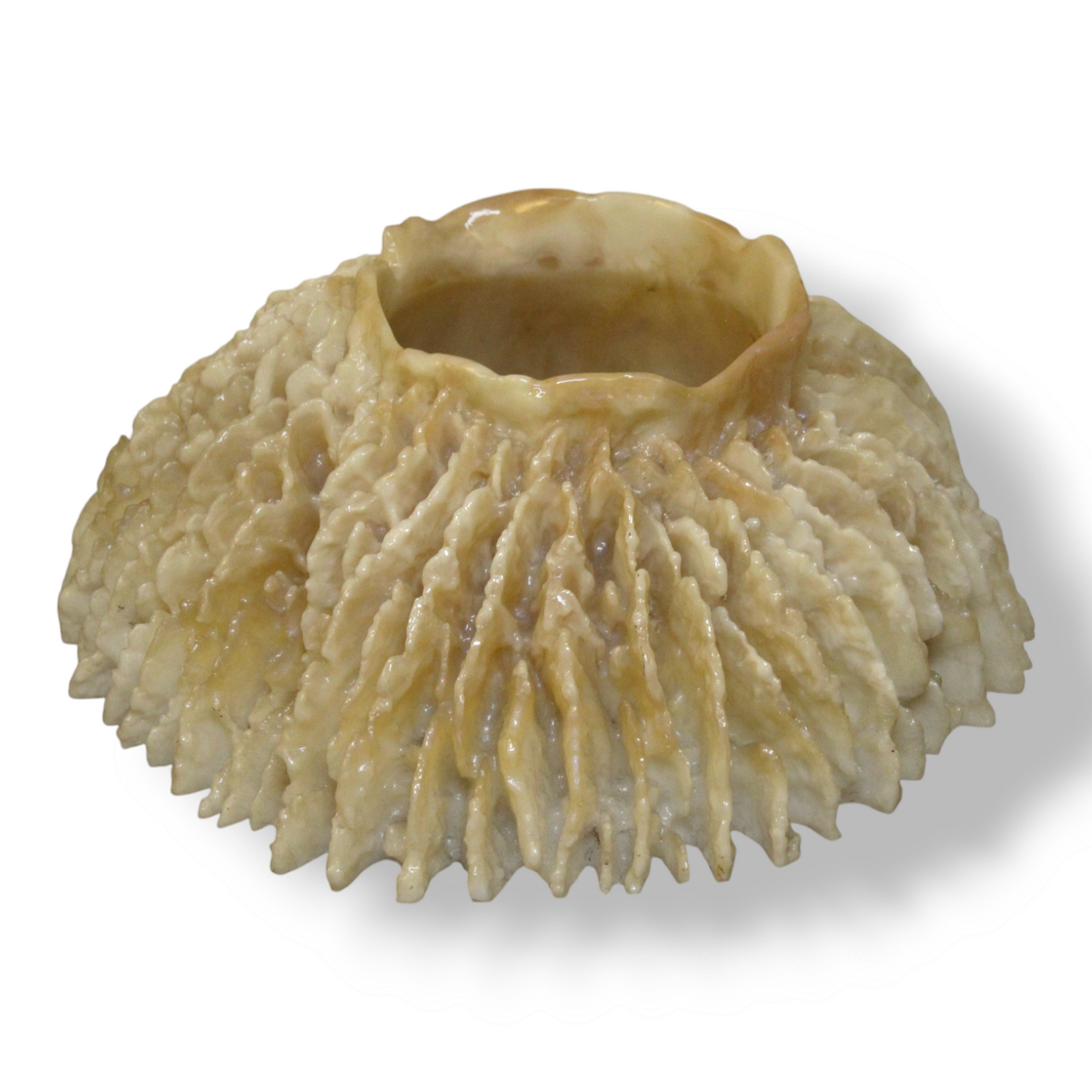 Demi semi-milky white opaque resin ocean sponge