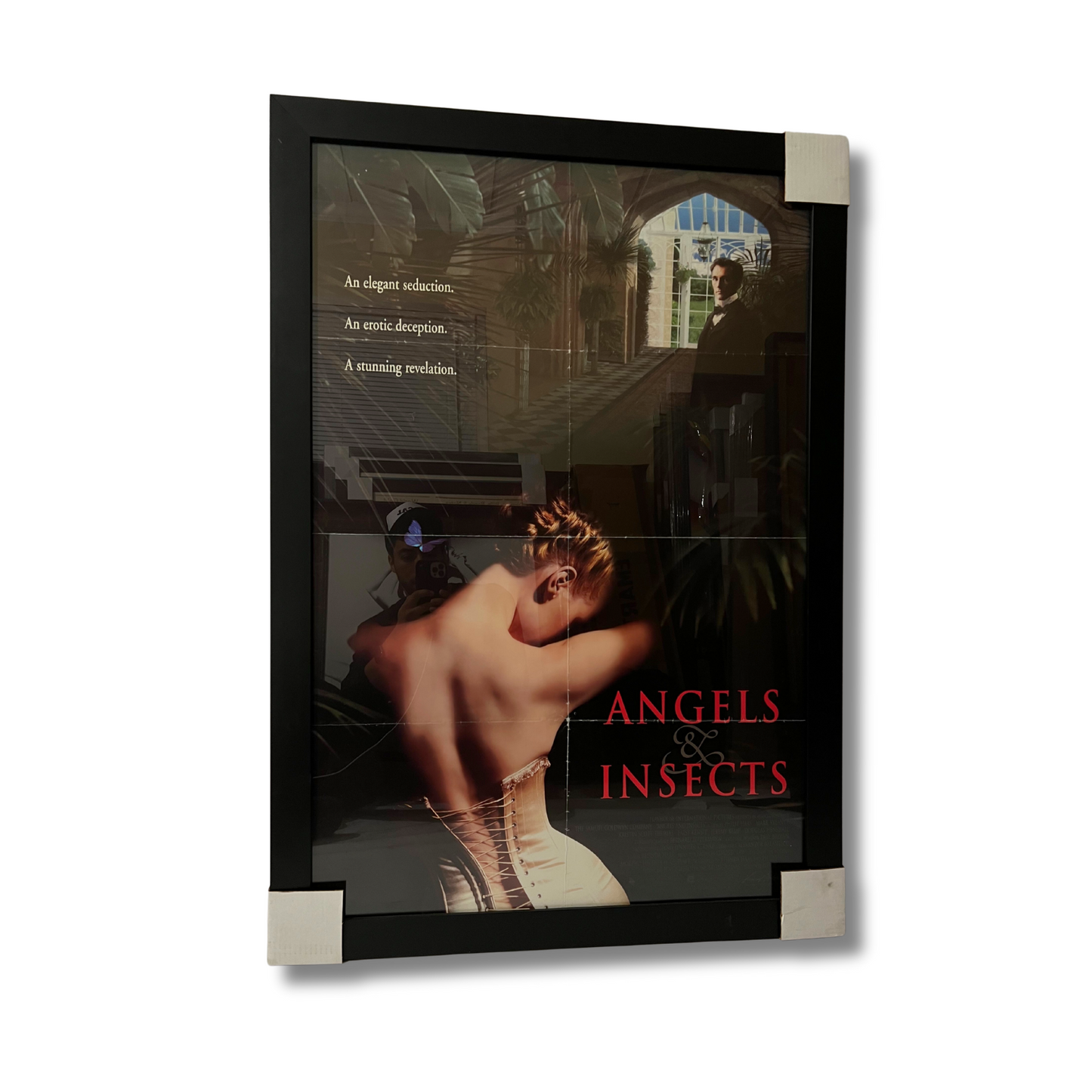 ANGELS & INSECTS (1995 FILM); Framed Film Poster