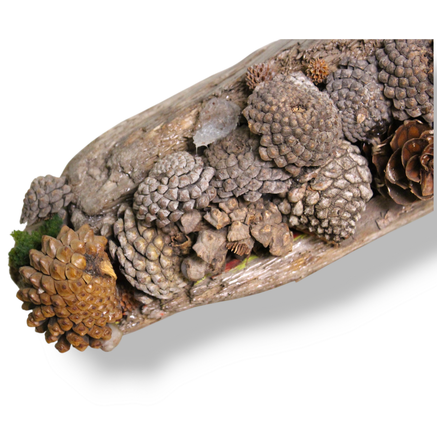 Drift Acorn arboreal sculpture