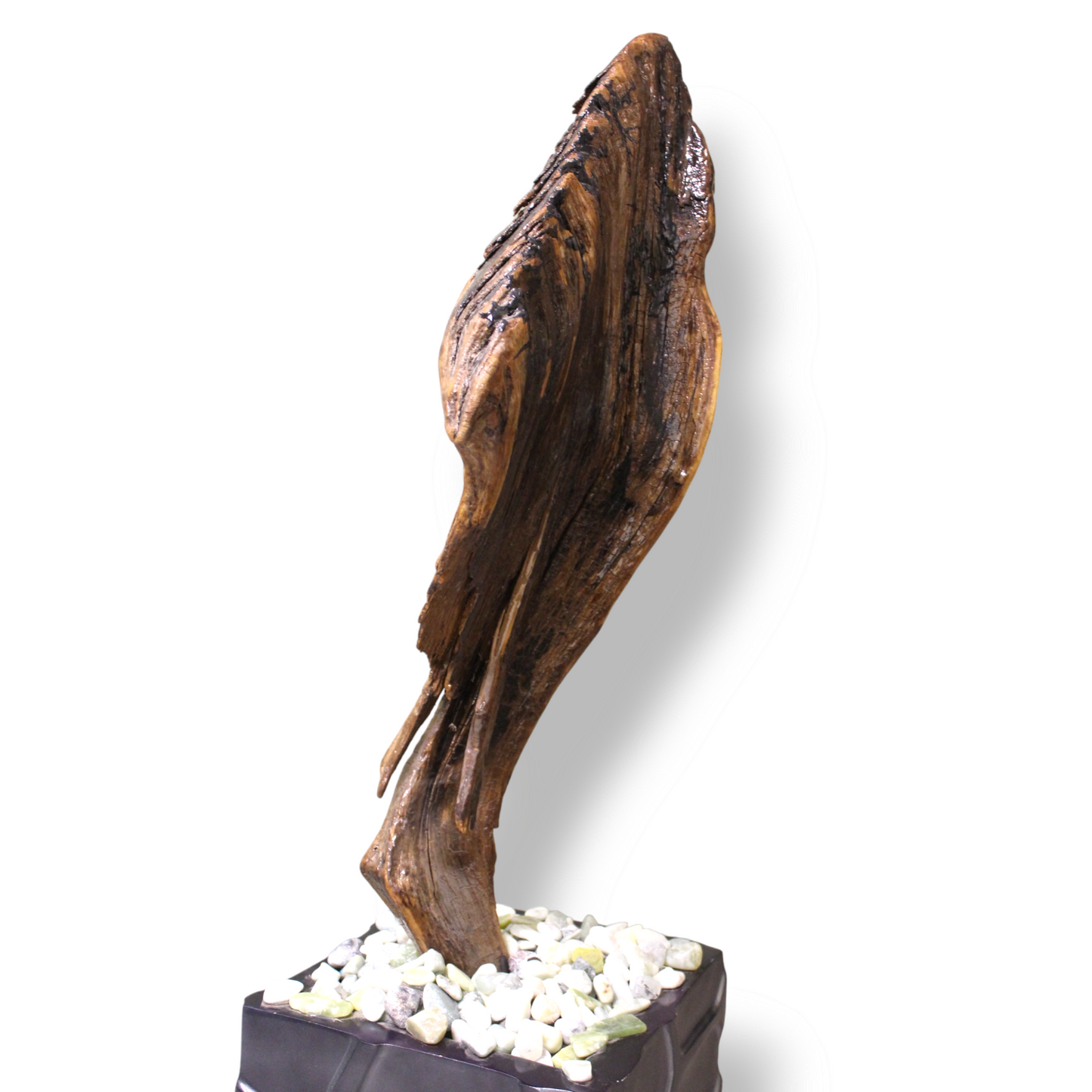 Driftwood Plank arboreal sculpture