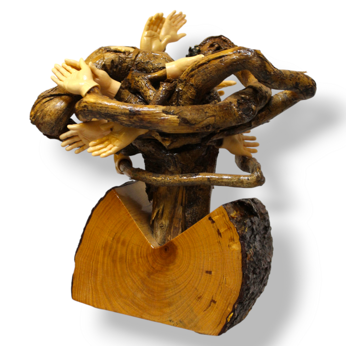 Ambidextrous”- A multi- branched wooden statue