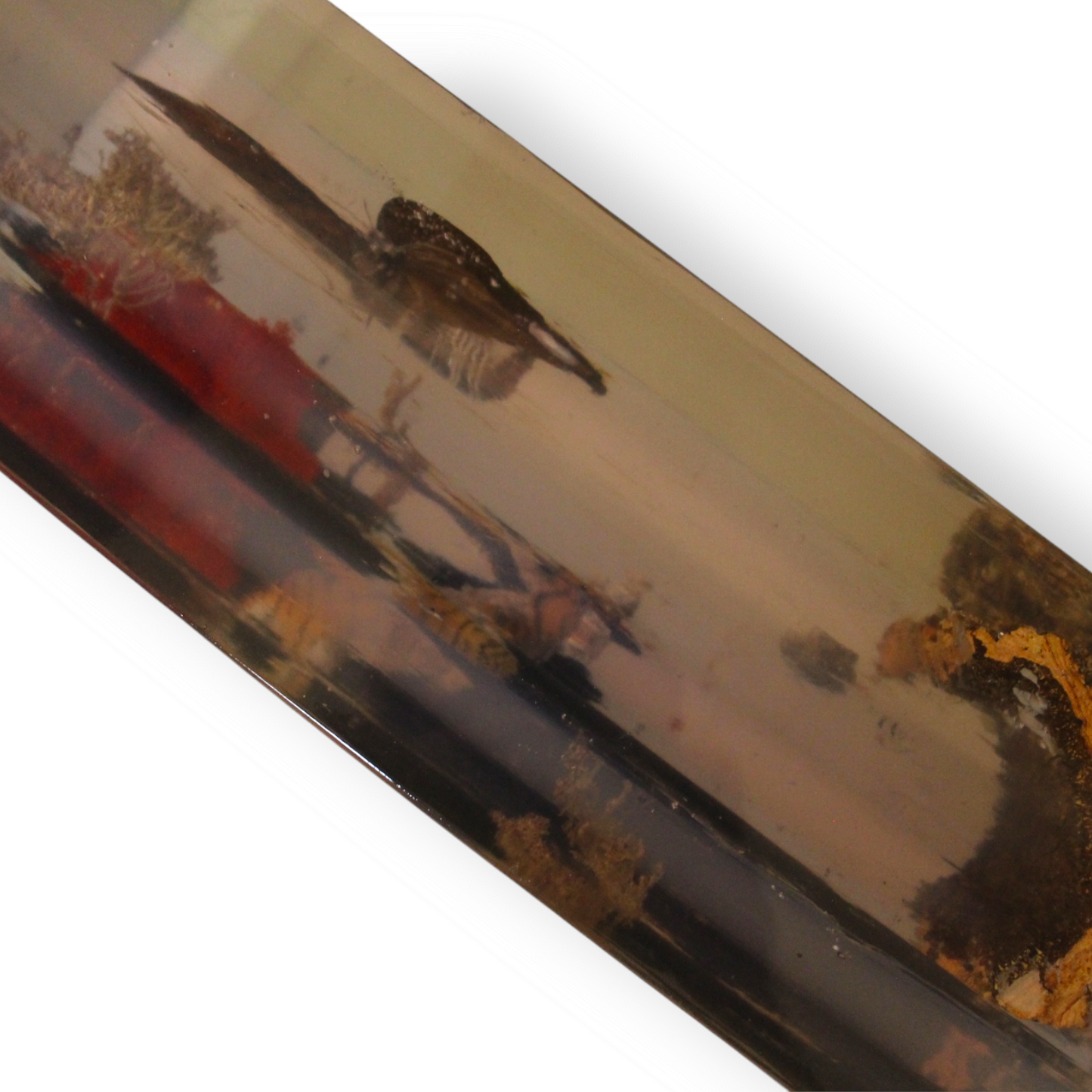 “Carnivore” Resin Monolith