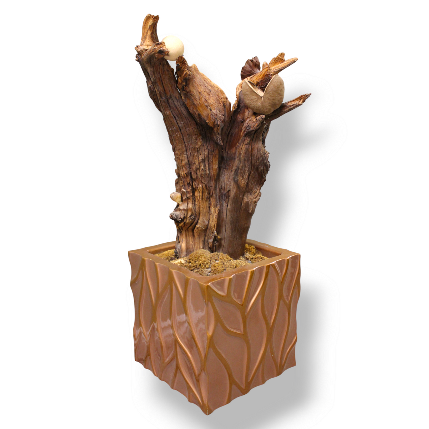 Orangina arboreal sculpture