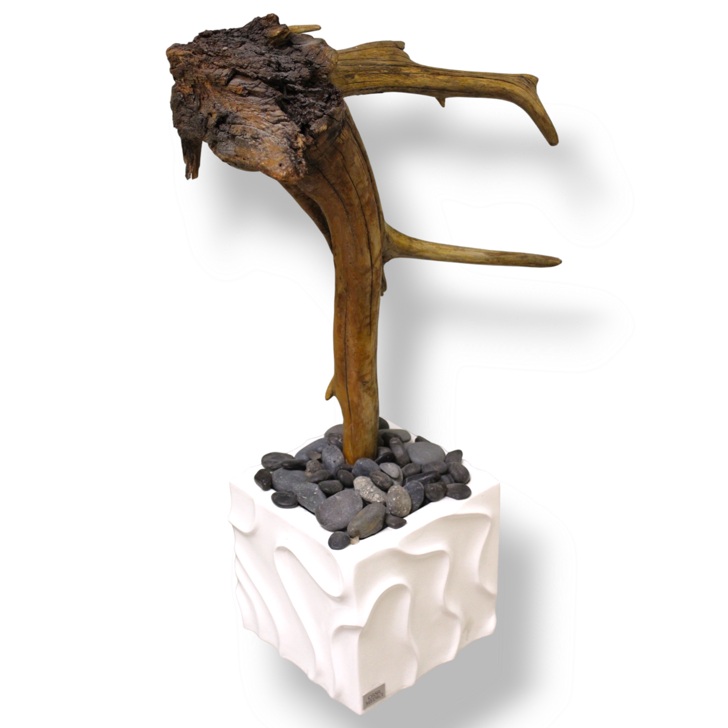 Arboreal Tree