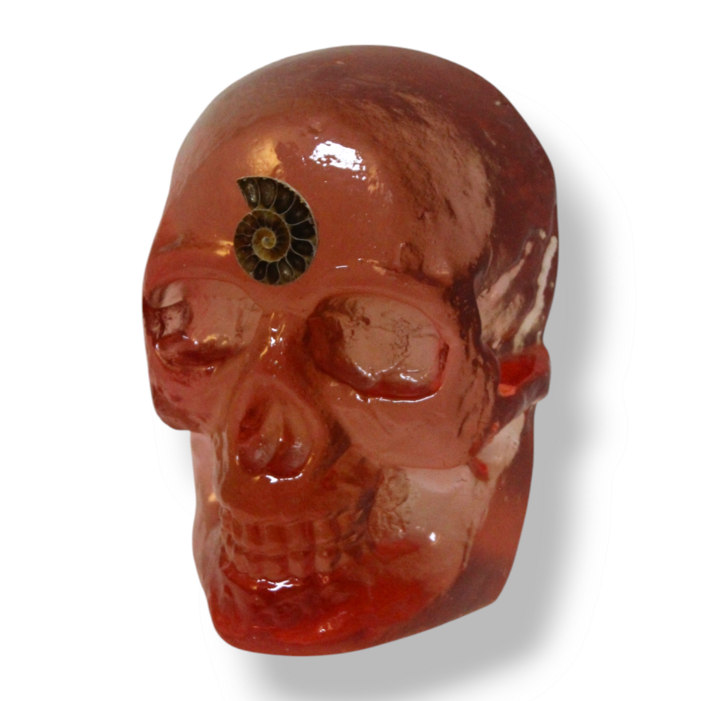 Fibonacci Sequence Resin Skull