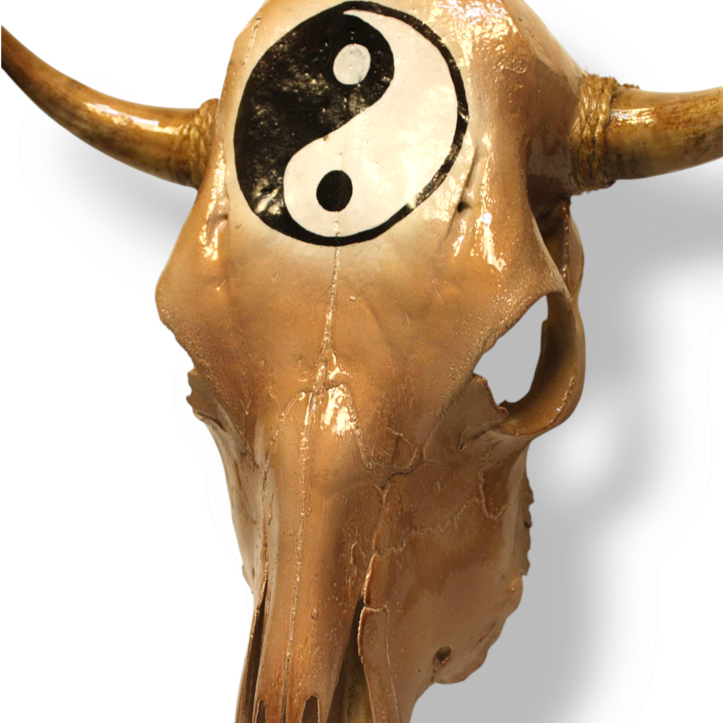 “Yin Yang” Bull Skull