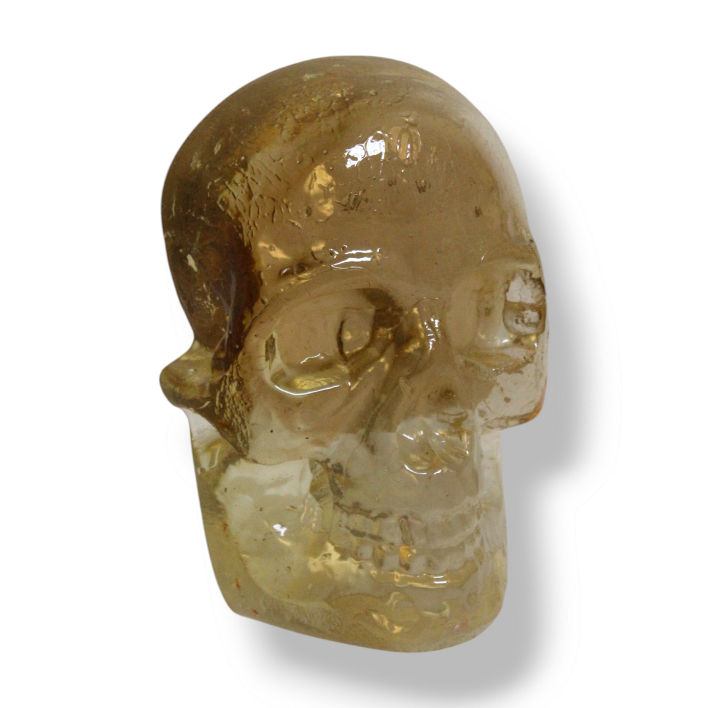 "From Dust, You Came" Resin Skull
