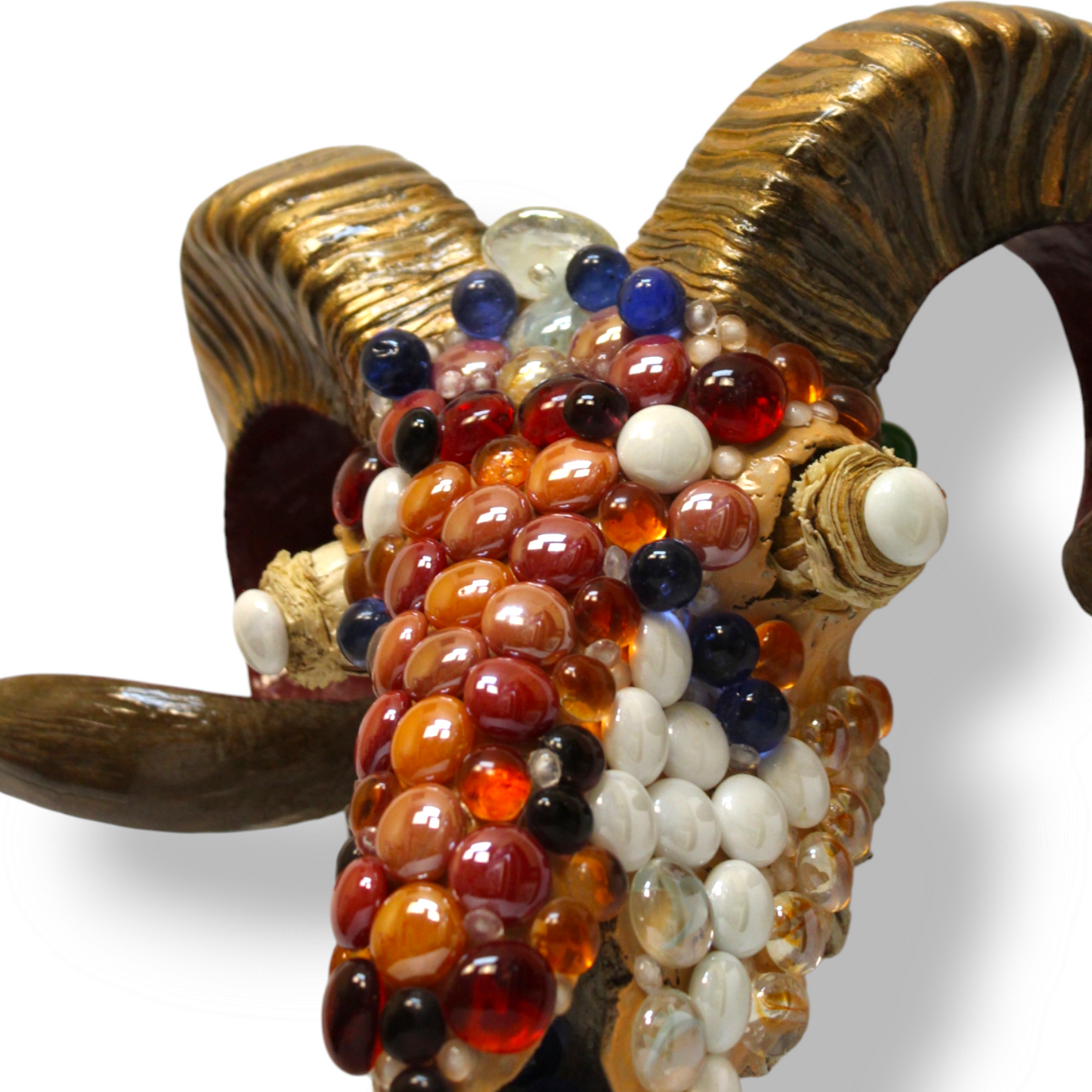 “Marbled Goat” Skull