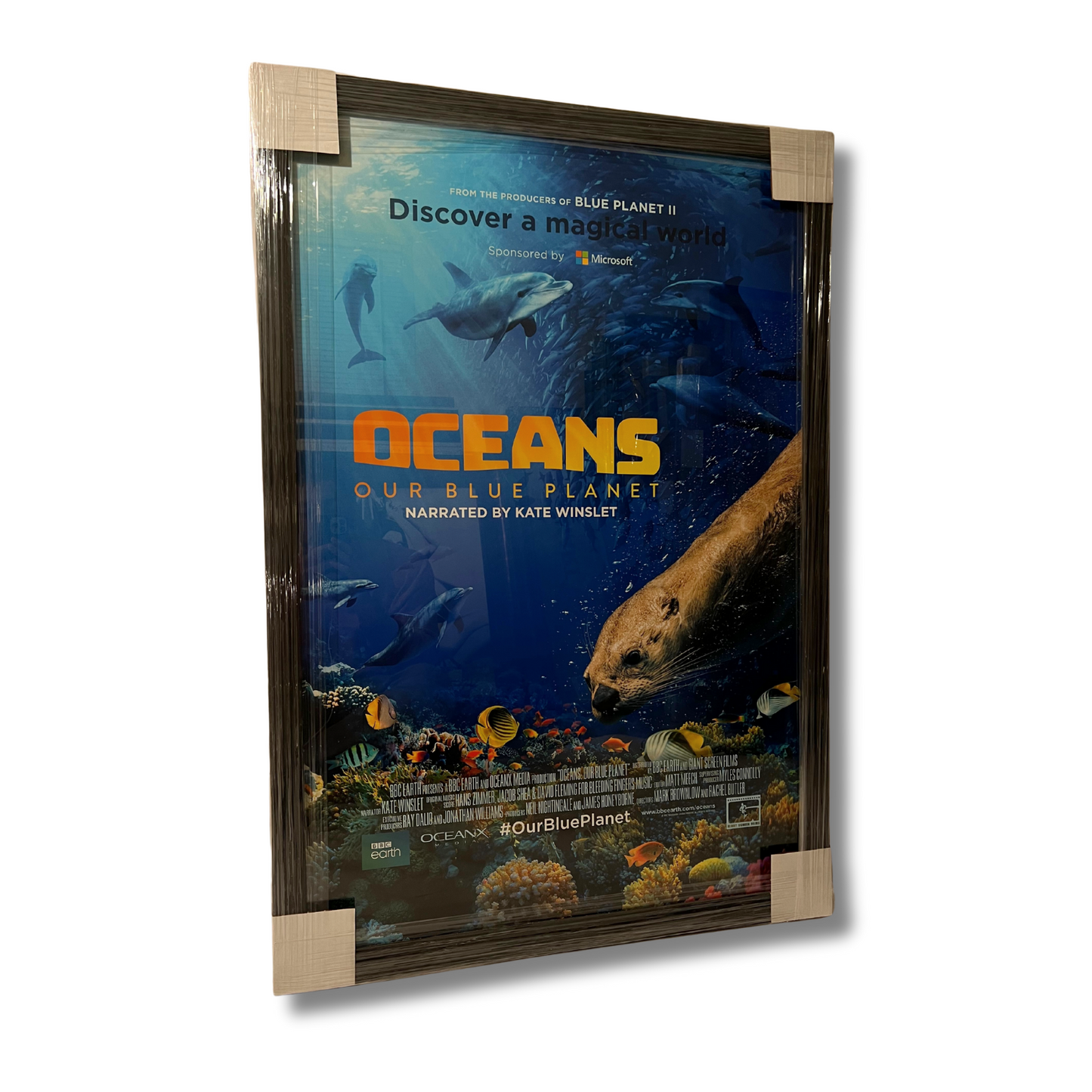 OCEANS OUR PLANET (2018 FILM); Framed Film Poster