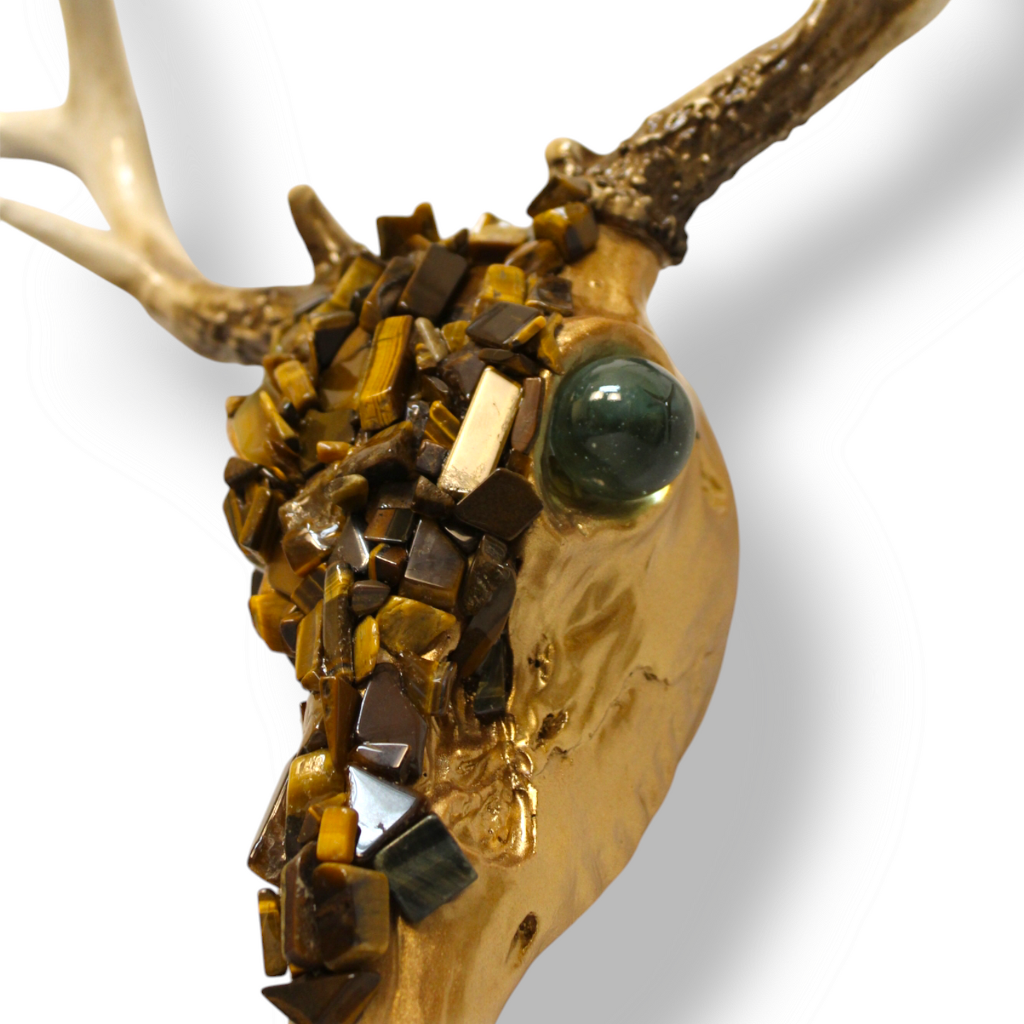 Tiger Eye Deer Skull