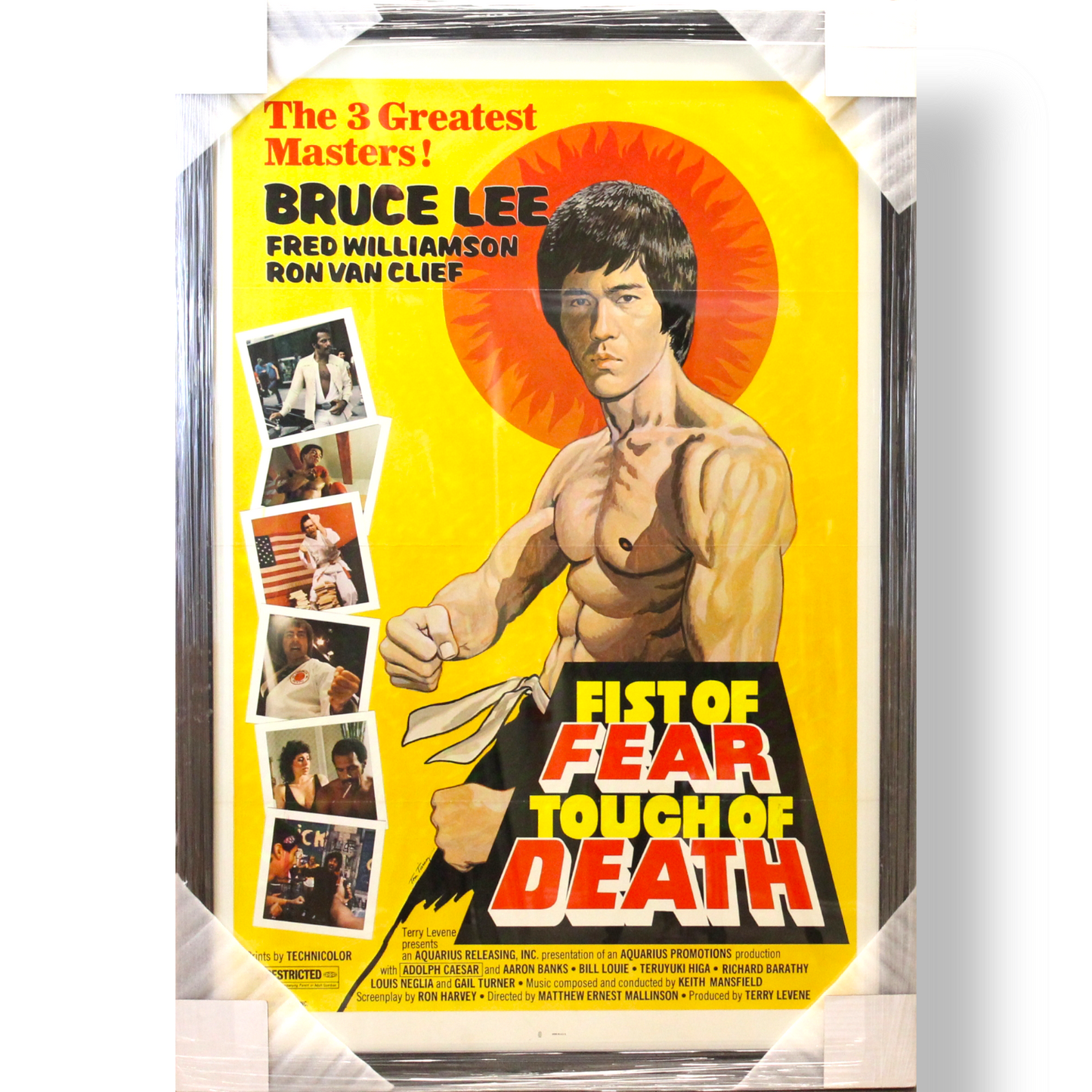 FIST OF FEAR, TOUCH OF DEATH (1980 FILM); framed film poster