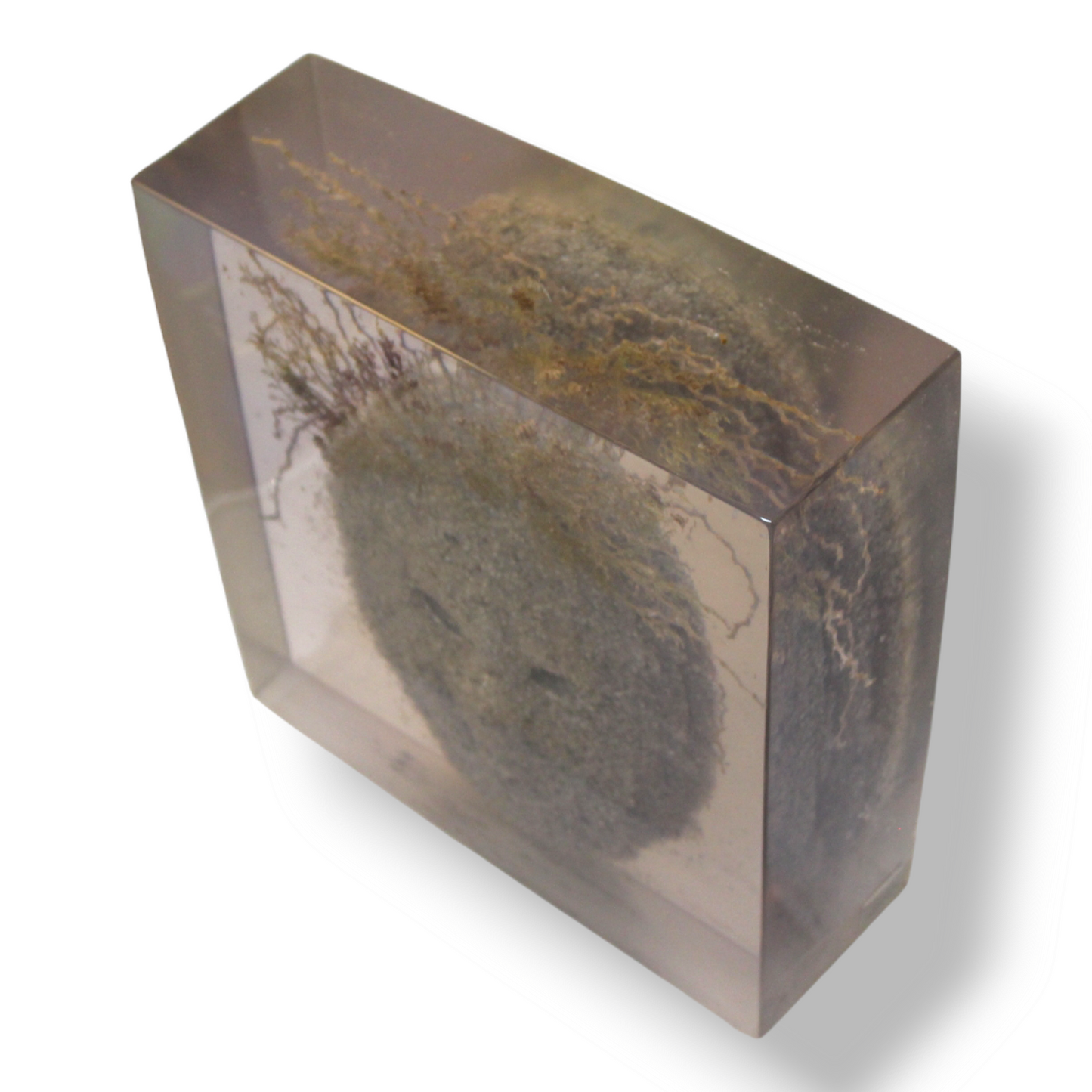 "Mr. Sandman" resin monolith