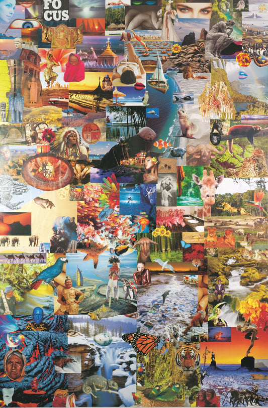 “FOCUS” COLLAGE