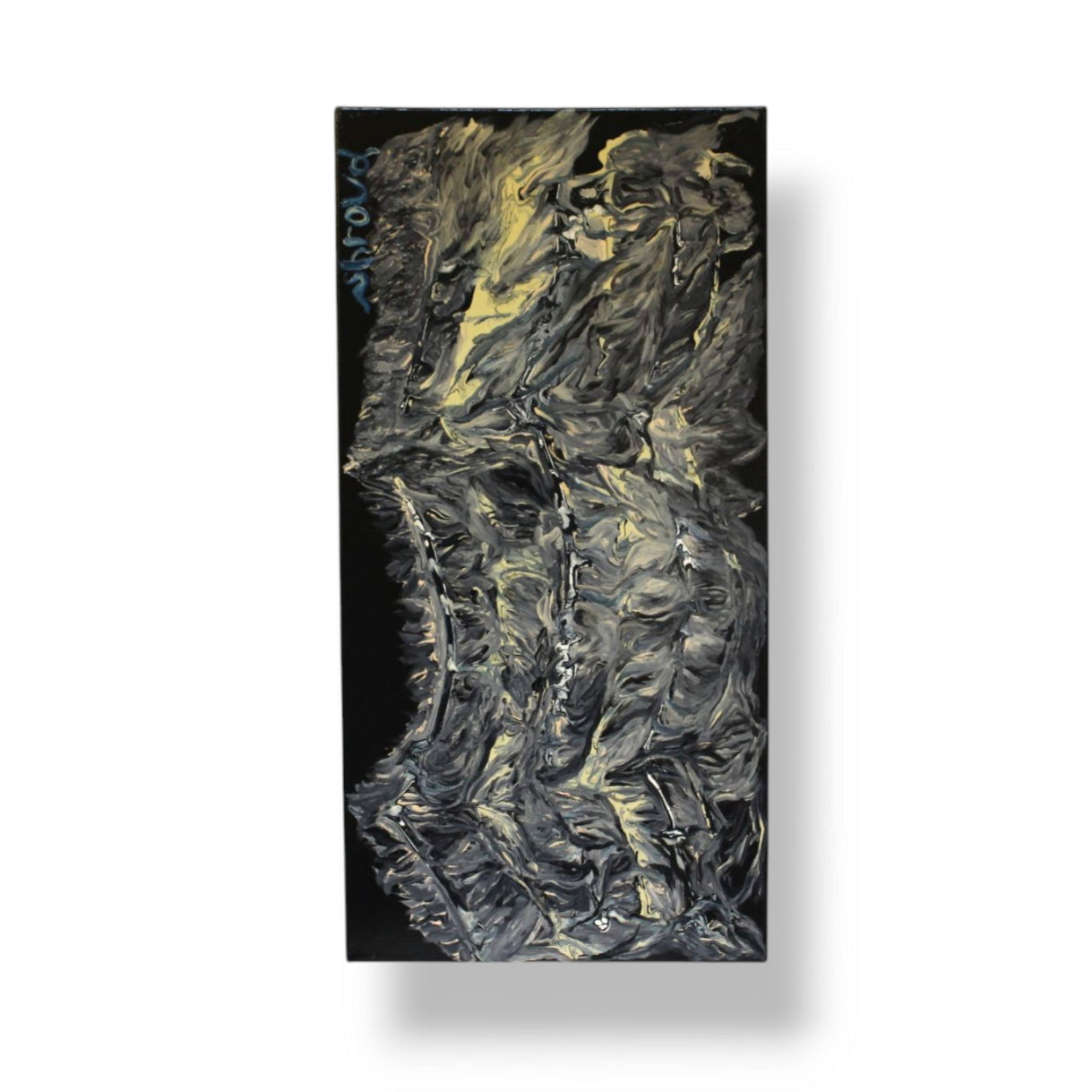 Shroud: Enamel on Canvas
