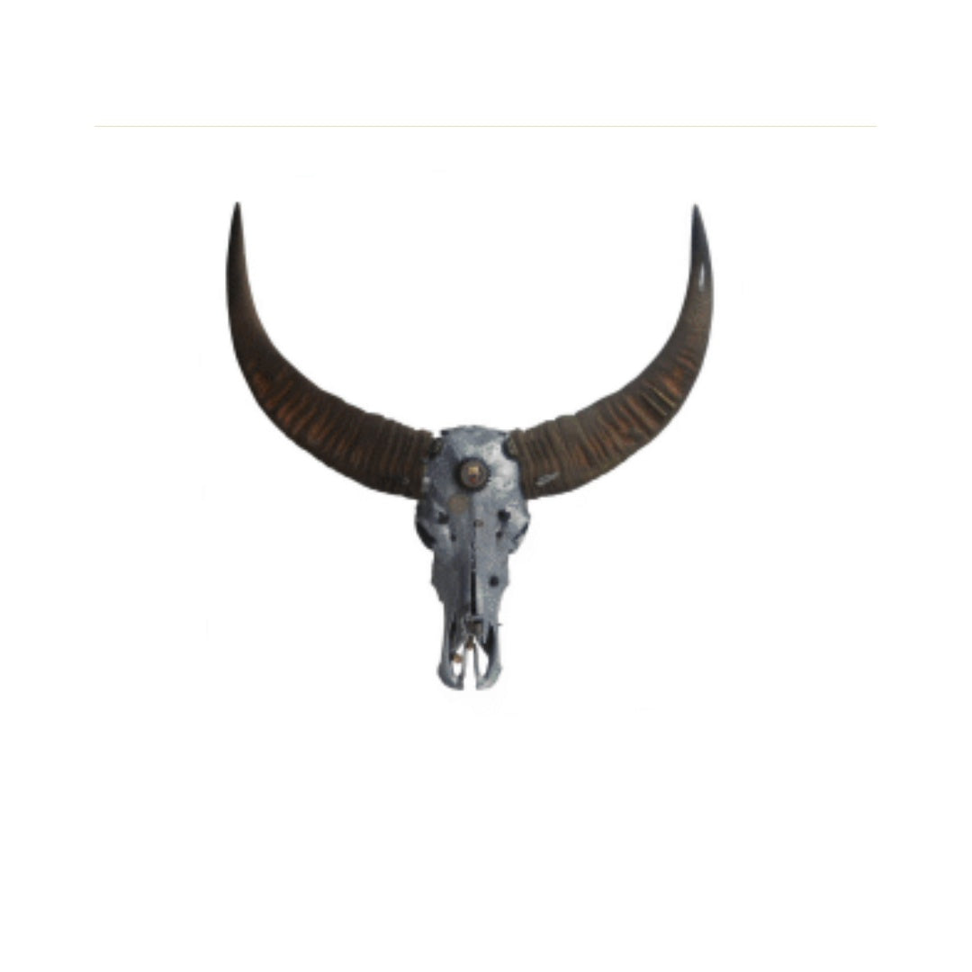 “Sterling Longhorn” Wall Mounted Skull