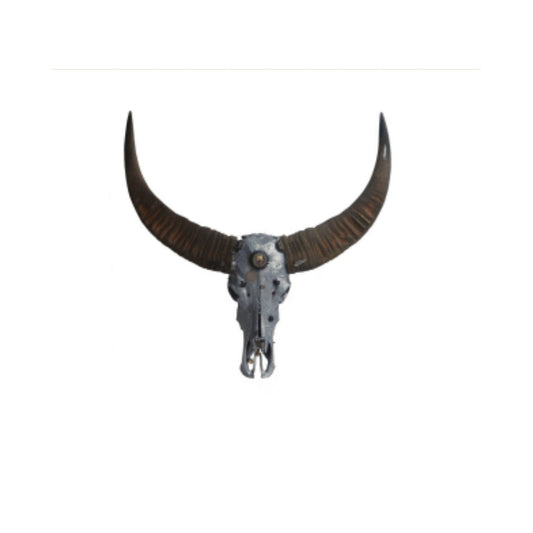 “Sterling Longhorn” Wall Mounted Skull