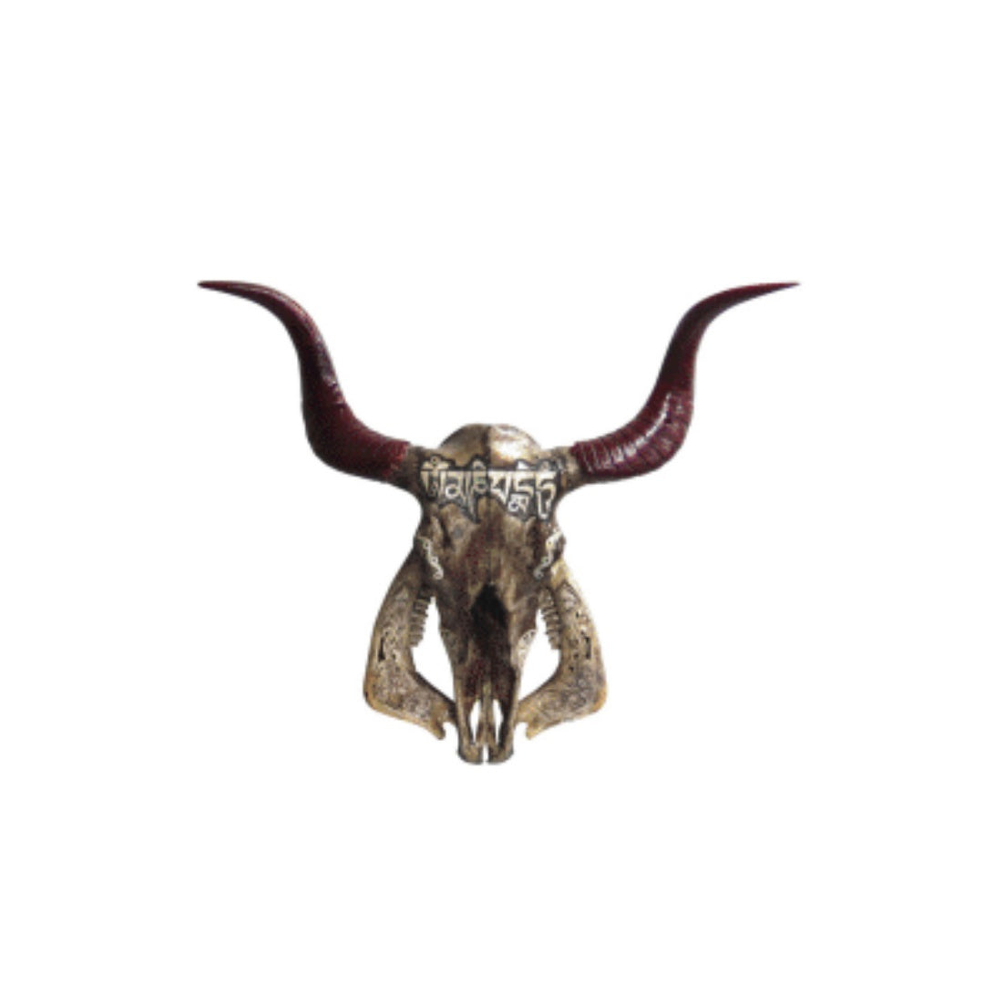“Sanskrit Bull Skull” Hanging Wall Art