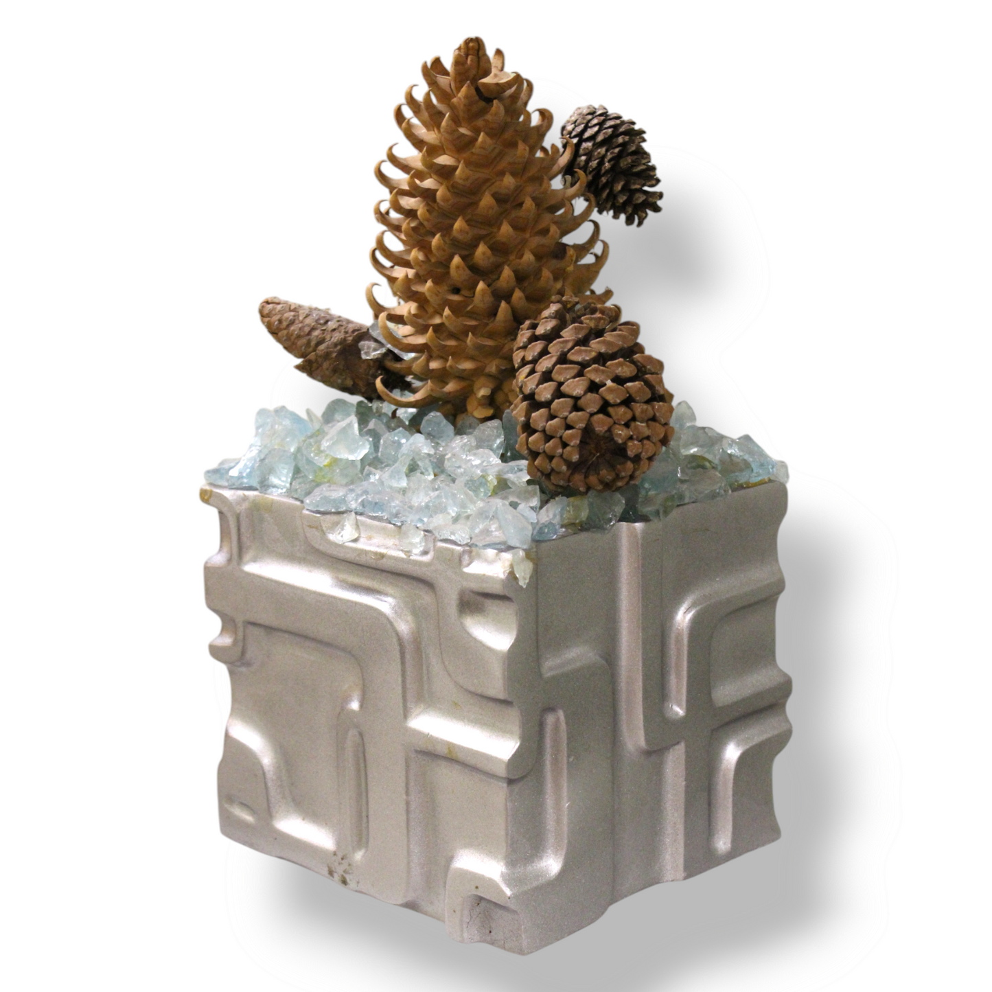 Silver Acorn
