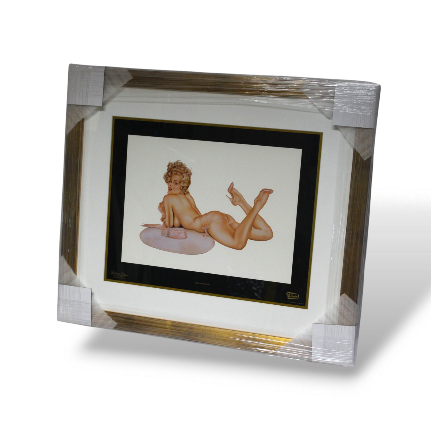 Olivia's pinup collection (set of 13)