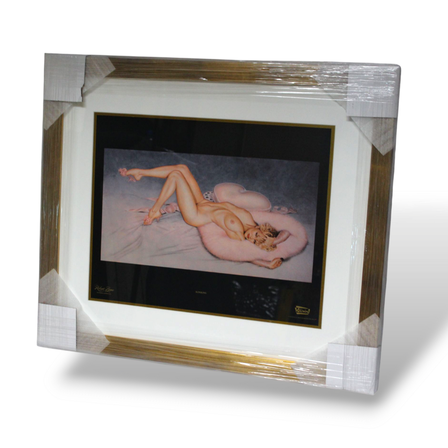Olivia's pinup collection (set of 13)