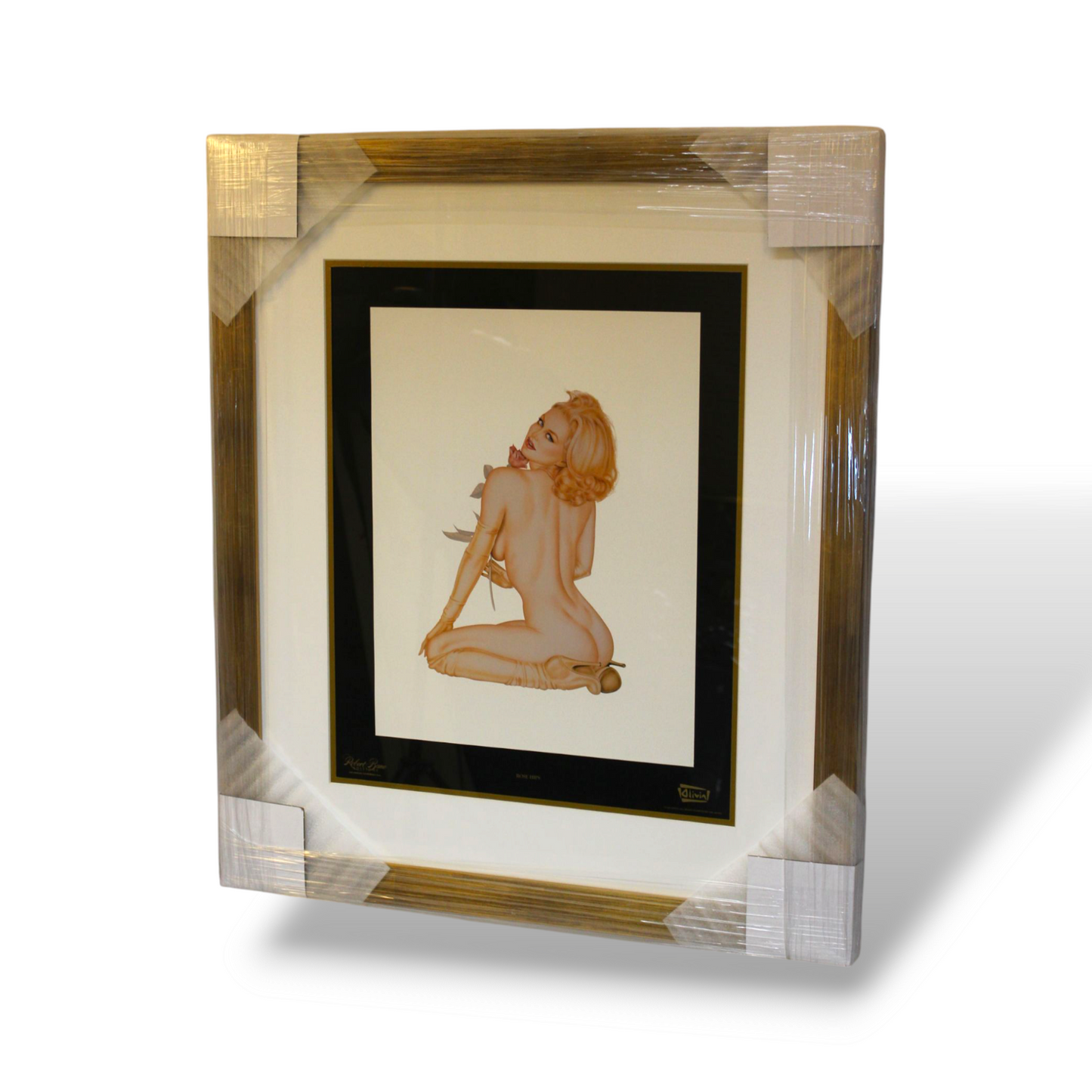 Olivia's pinup collection (set of 13)