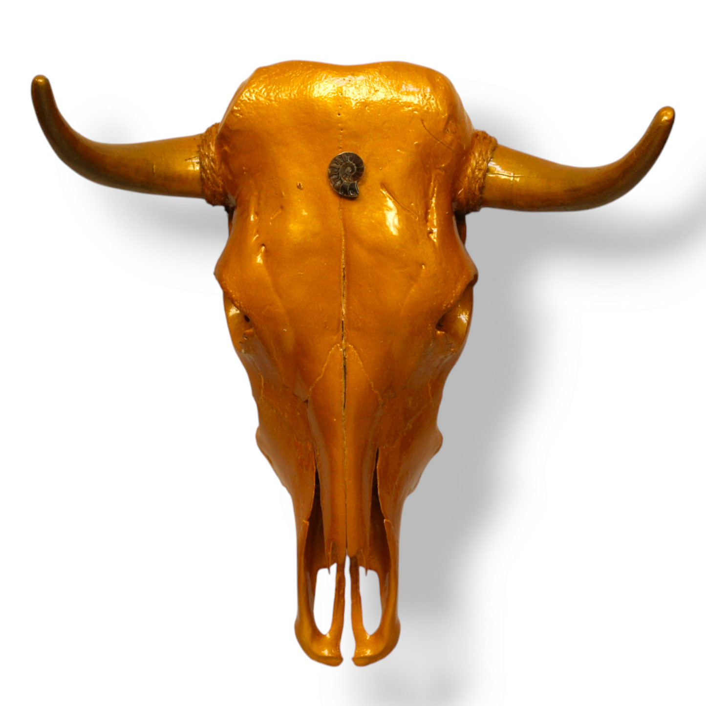 “Fibonacci Sequence” Bull Skull