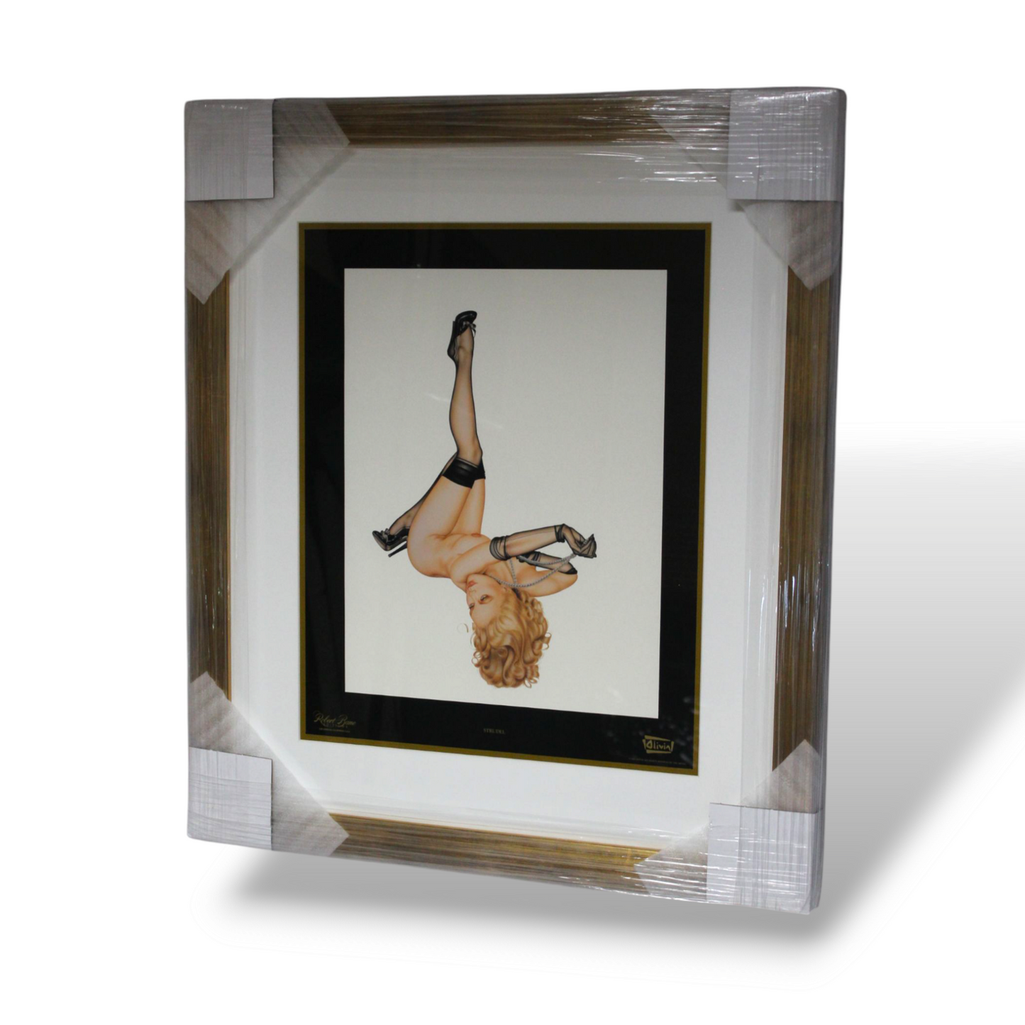 Olivia's pinup collection (set of 13)