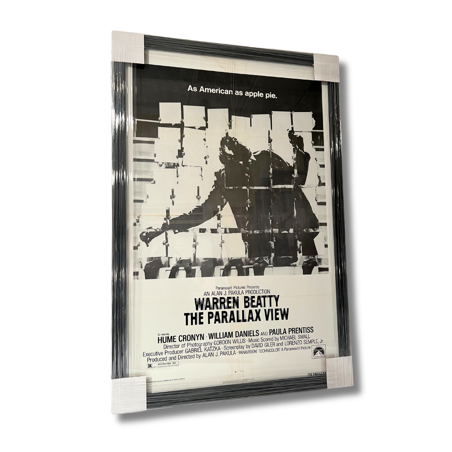 THE PARALLAX VIEW (1974 FILM)