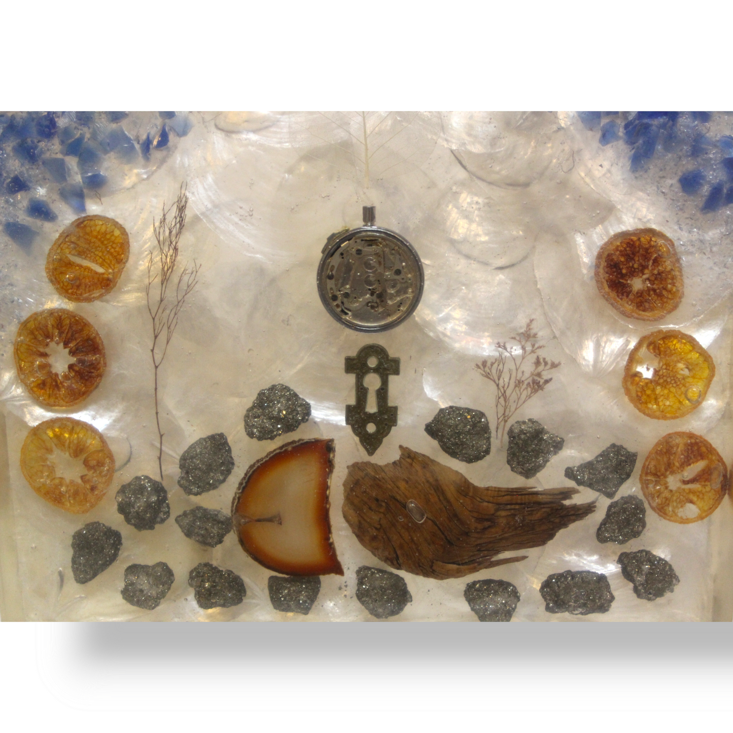 Capice  Shell  Resin  Monolith