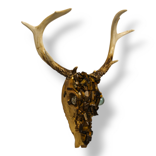 Tiger Eye Deer Skull