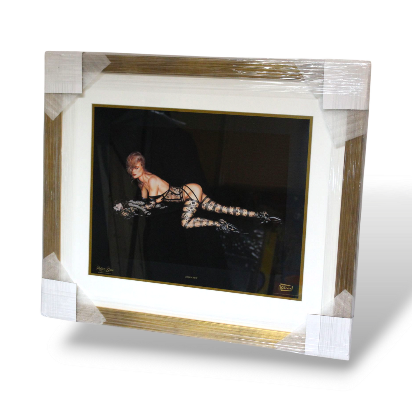 Olivia's pinup collection (set of 13)