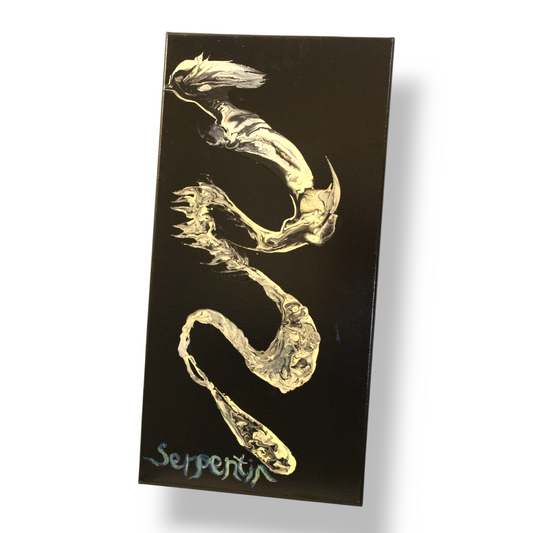 Serpentin: Enamel on Canvas by Tal McAbian