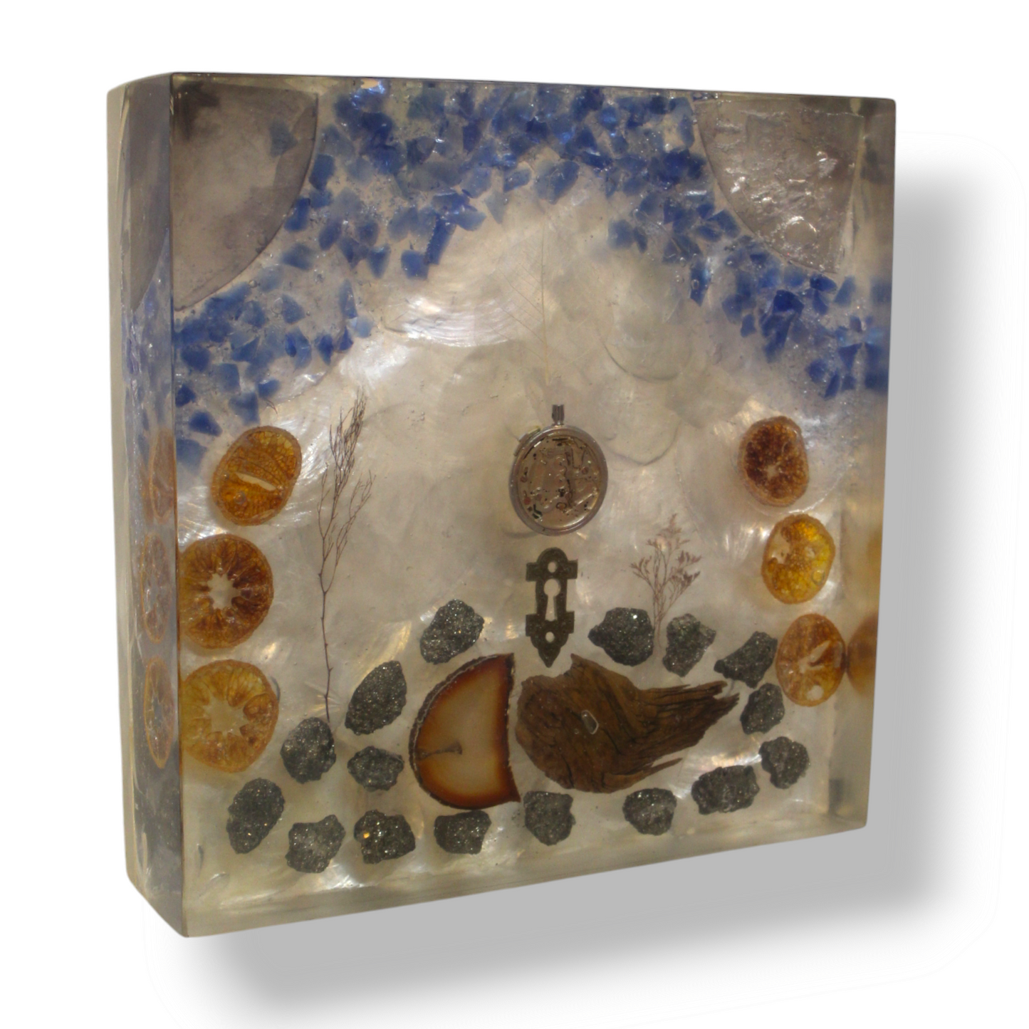 Capice  Shell  Resin  Monolith