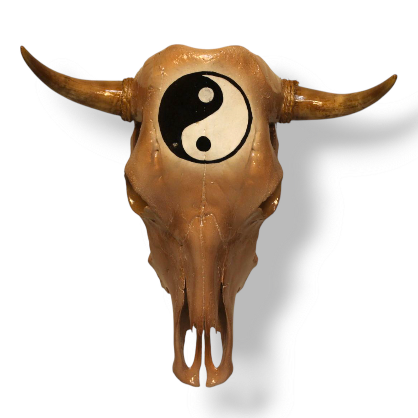 “Yin Yang” Bull Skull