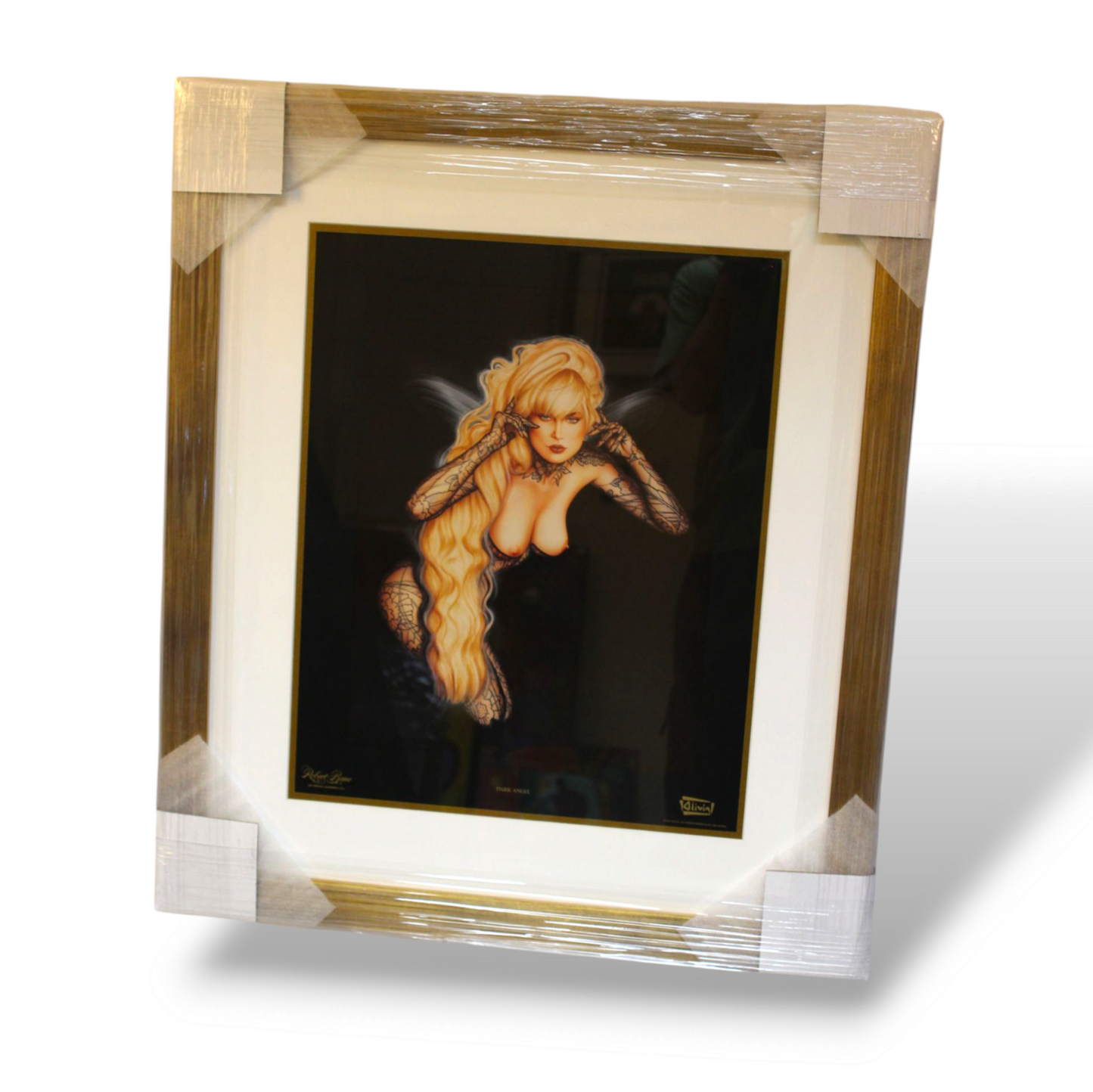 Olivia's pinup collection (set of 13)