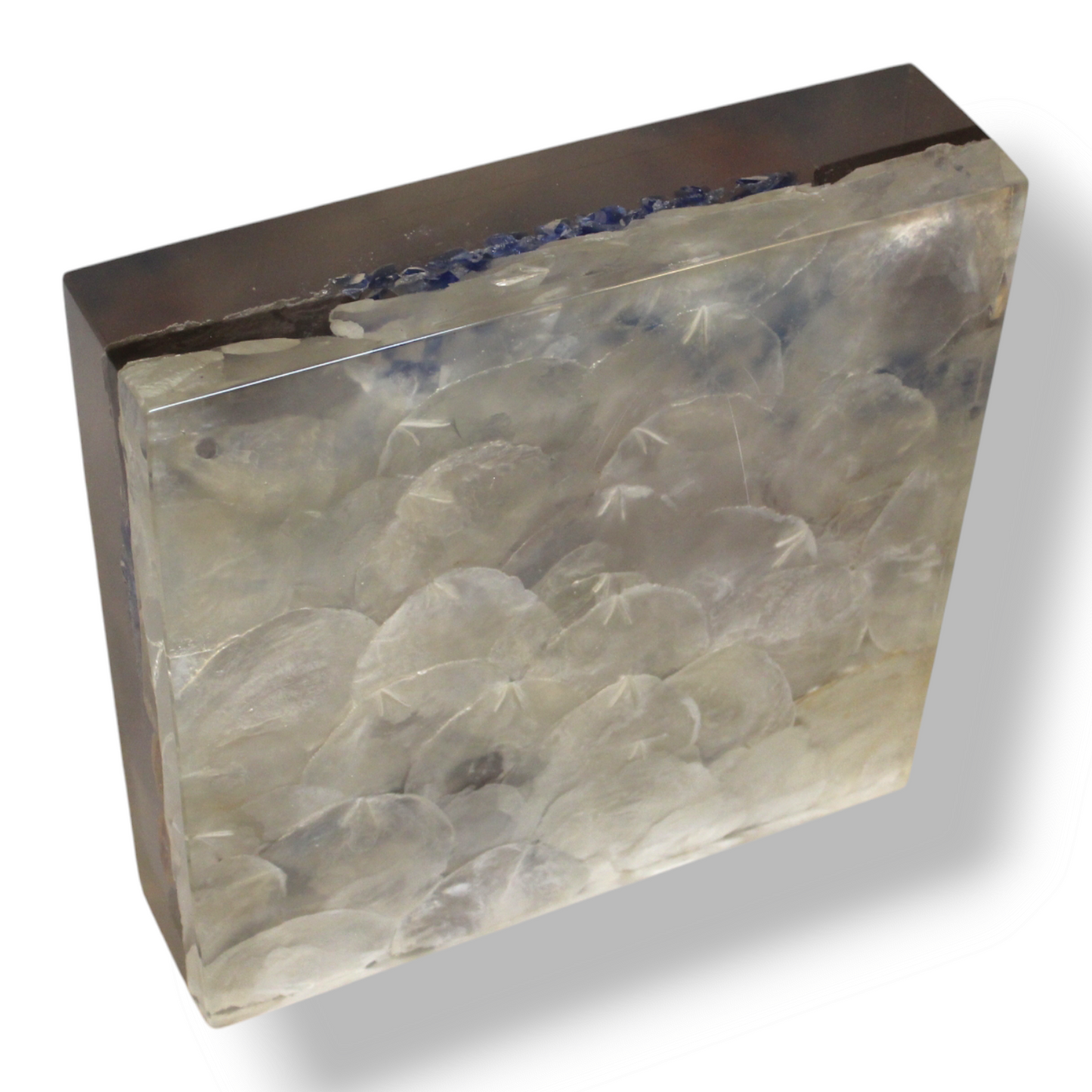 Capice  Shell  Resin  Monolith