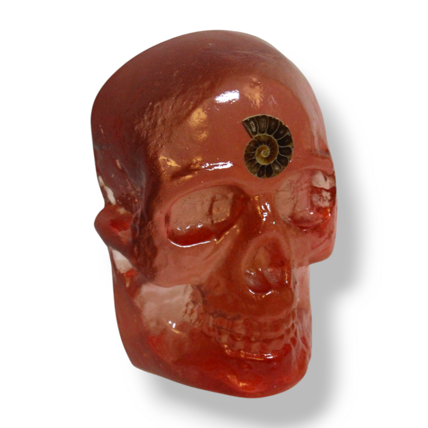 Fibonacci Sequence Resin Skull