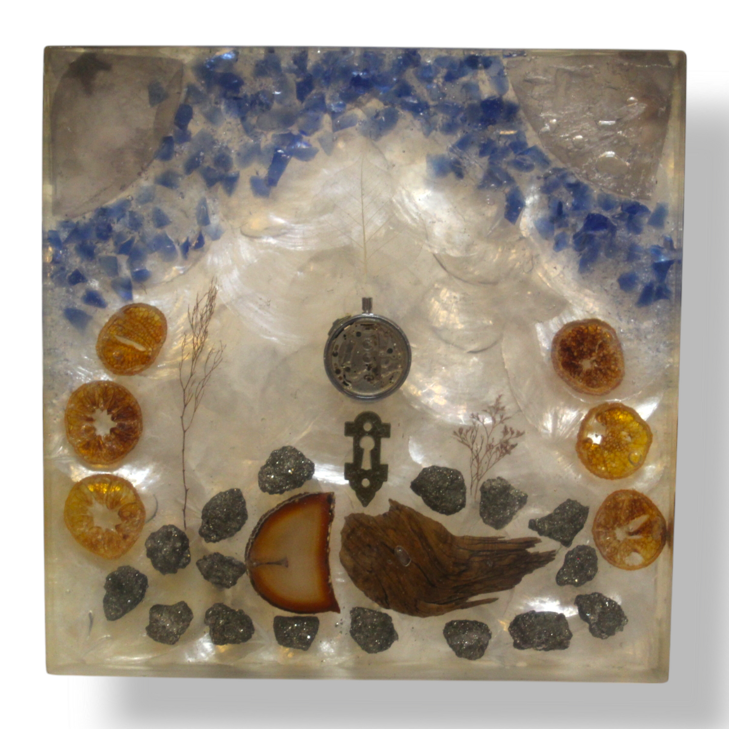 Capice  Shell  Resin  Monolith