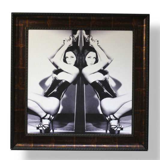 "Mirrored Corset"