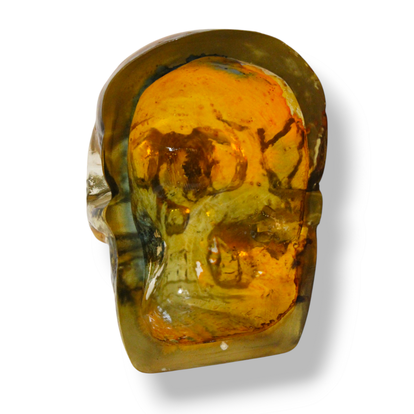 Menagerie Skull