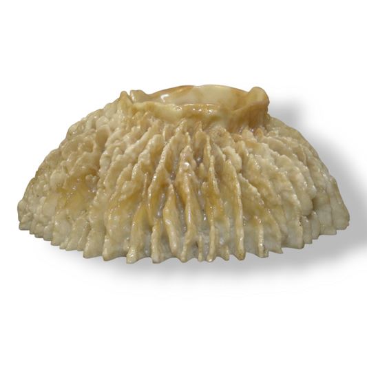 Demi semi-milky white opaque resin sponge- mold