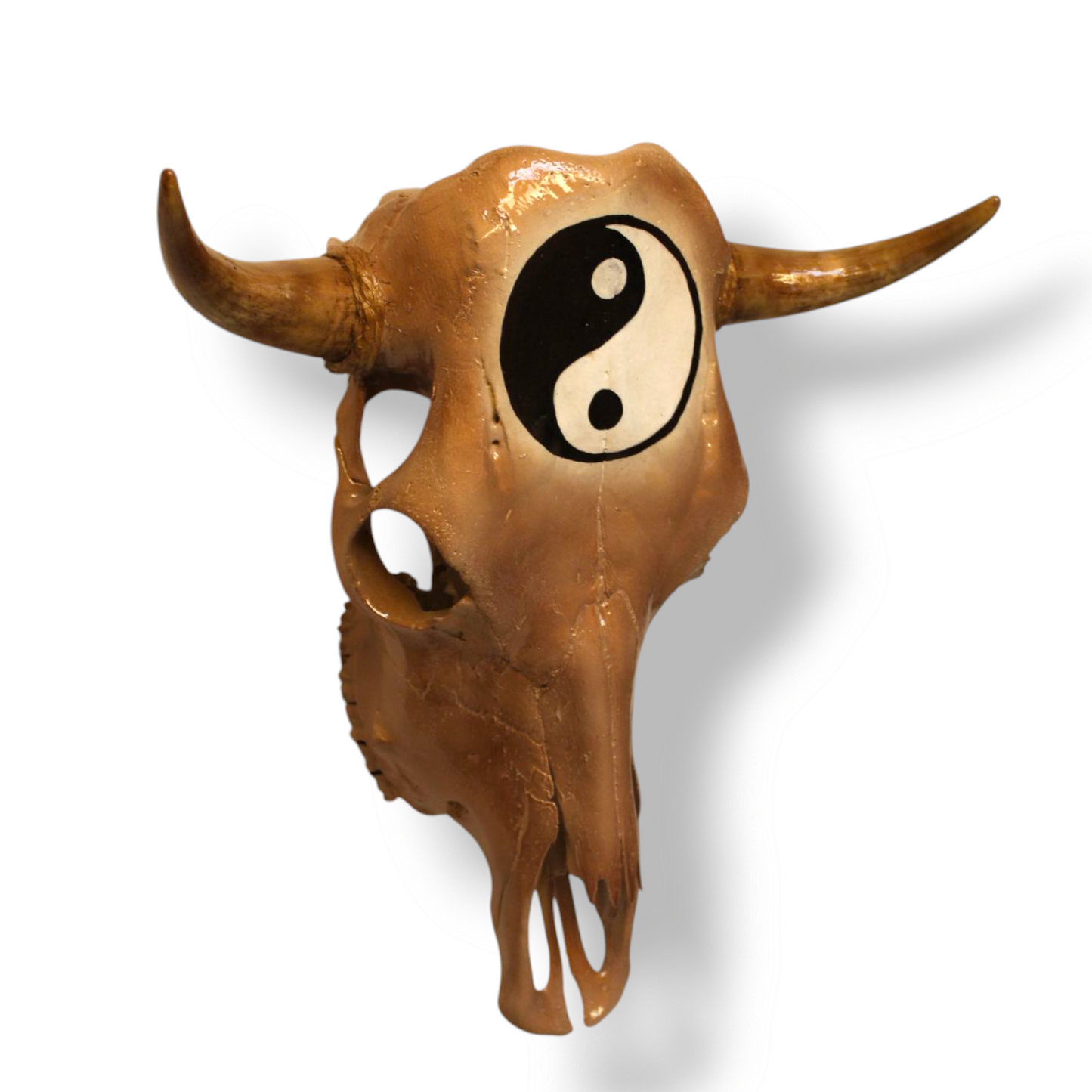 “Yin Yang” Bull Skull