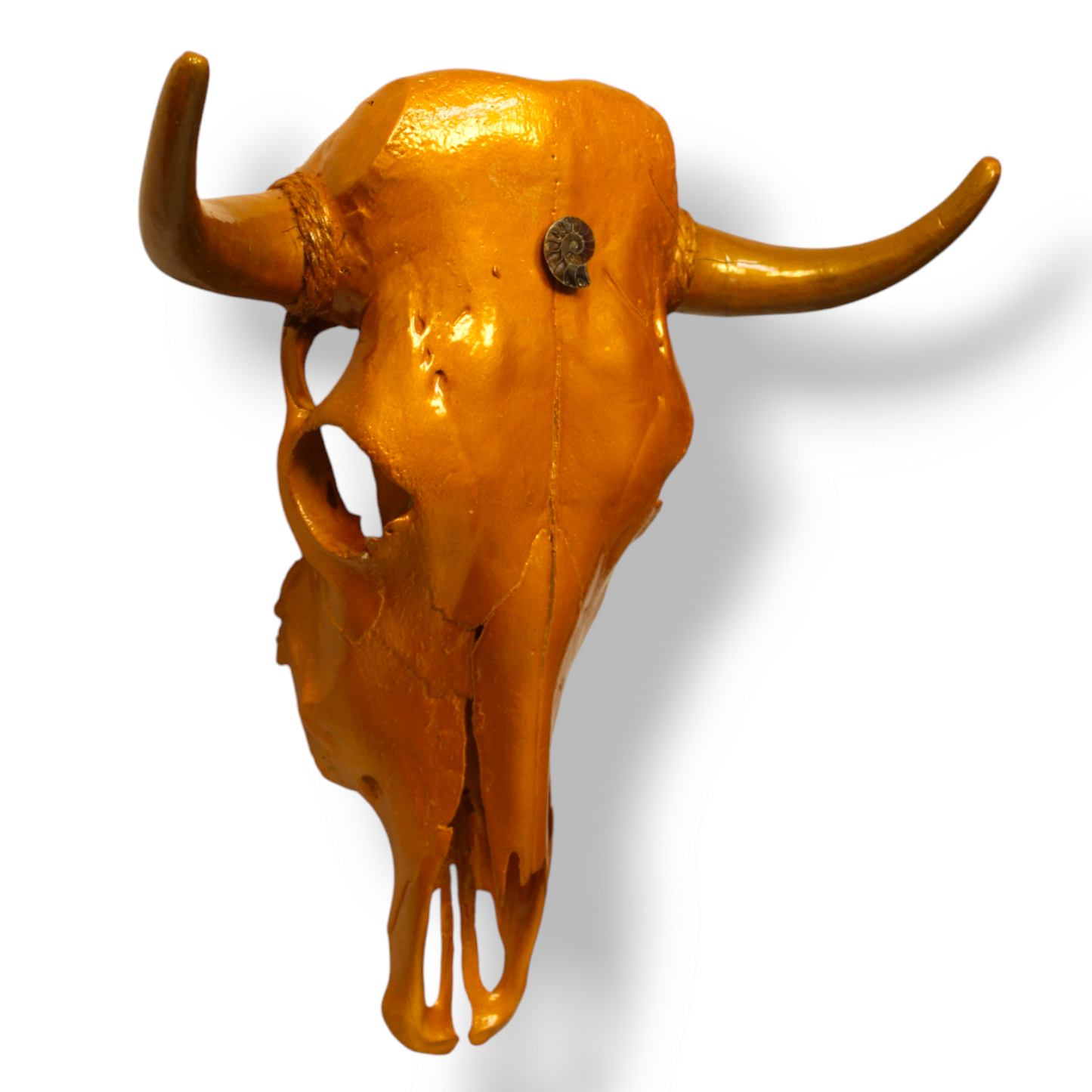“Fibonacci Sequence” Bull Skull