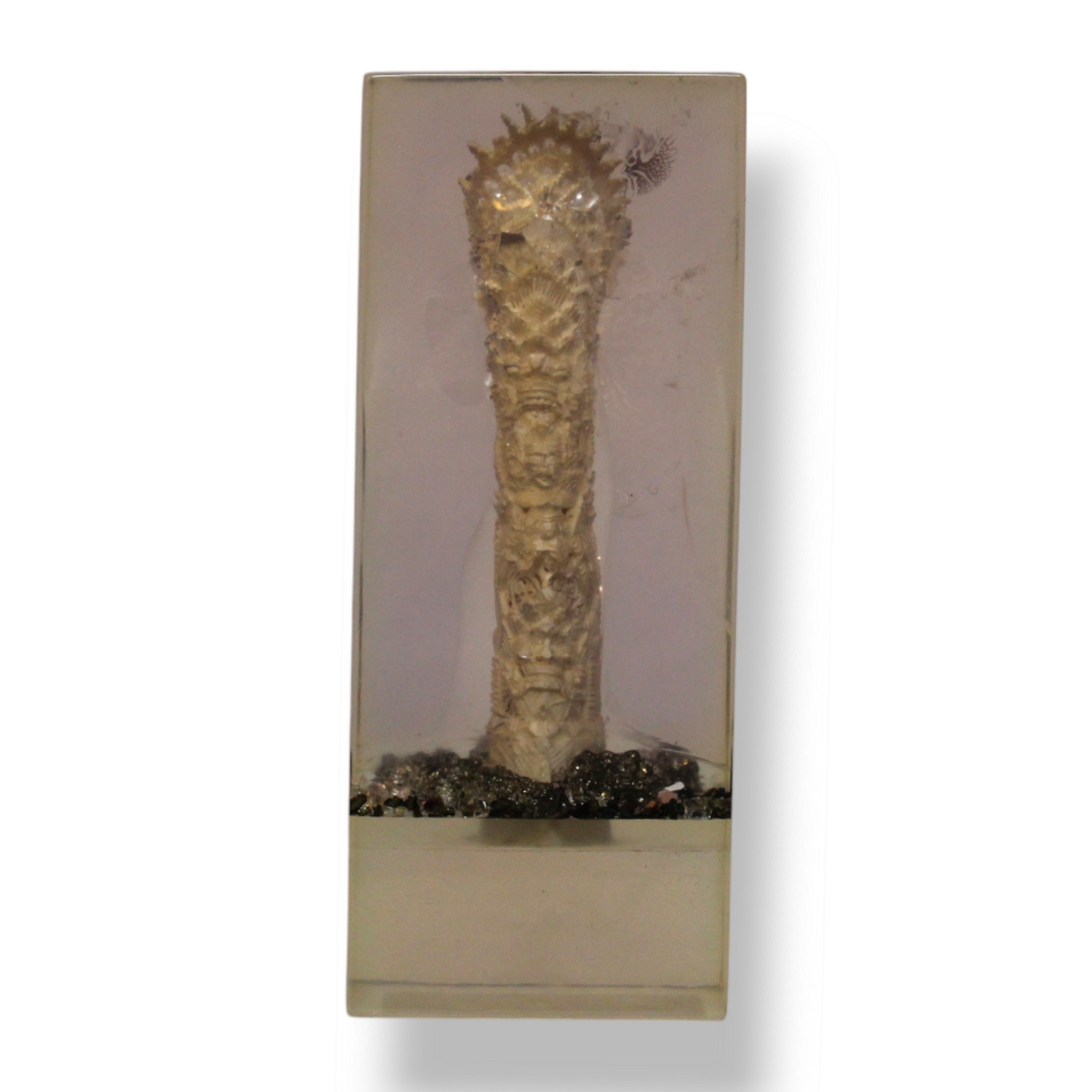 A Pair of Bones in Resin