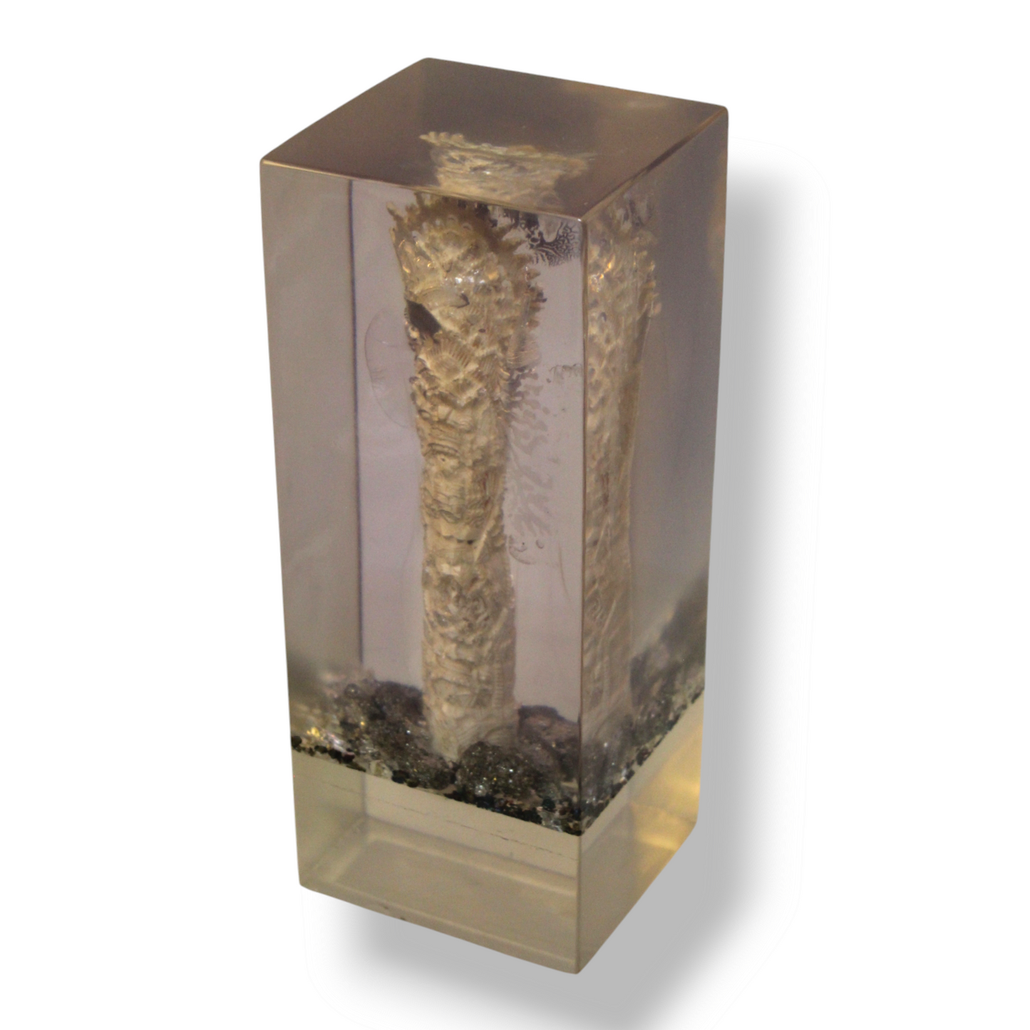 A Pair of Bones in Resin